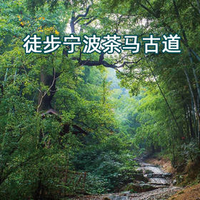 徒步穿越宁波的‘茶马古道’，探寻千年古村的旧时光（上海1日线）