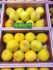 黄金蜜李2个（拼团） 商品缩略图1