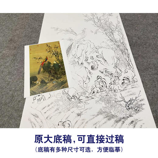 【大彩图】郎世宁工笔画白描底稿《锦春图》锦鸡临摹勾线高清打印稿LS02 商品图1