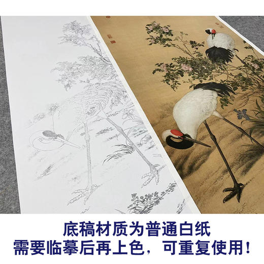 【大彩图】郎世宁工笔画白描底稿《花阴双鹤图》仙鹤临摹勾线高清打印稿LS01 商品图3