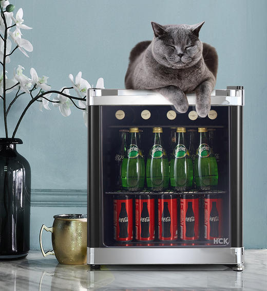 HCK哈士奇 SC-46BBA 冰吧家用客厅办公室小型茶叶冷藏柜透明冰箱 商品图3