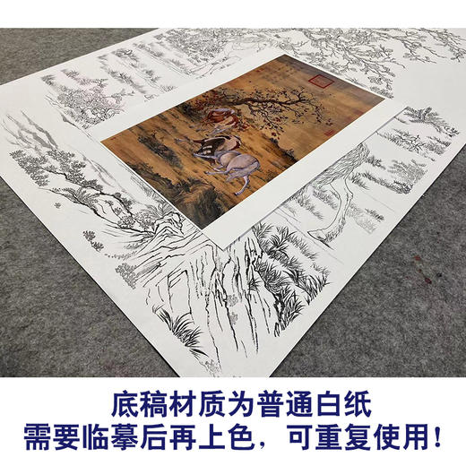 【大彩图】郎世宁工笔画白描底稿《神骏图》骏马临摹勾线高清打印稿LS14 商品图3