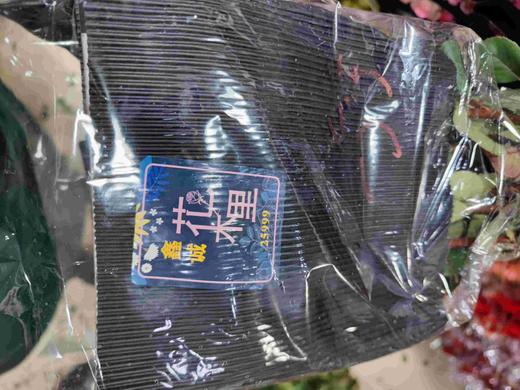 花木里，欢乐颂45公分 商品图2