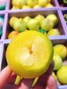 黄金蜜李2个（拼团） 商品缩略图3