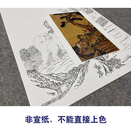 【大彩图】郎世宁工笔画白描底稿《双狮图》狮子临摹勾线高清打印稿LS15 商品图2