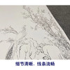 【大彩图】郎世宁工笔画白描底稿《锦春图》锦鸡临摹勾线高清打印稿LS02 商品缩略图4