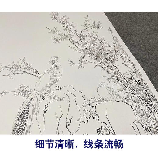 【大彩图】郎世宁工笔画白描底稿《锦春图》锦鸡临摹勾线高清打印稿LS02 商品图4