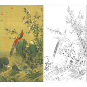 【大彩图】郎世宁工笔画白描底稿《锦春图》锦鸡临摹勾线高清打印稿LS02