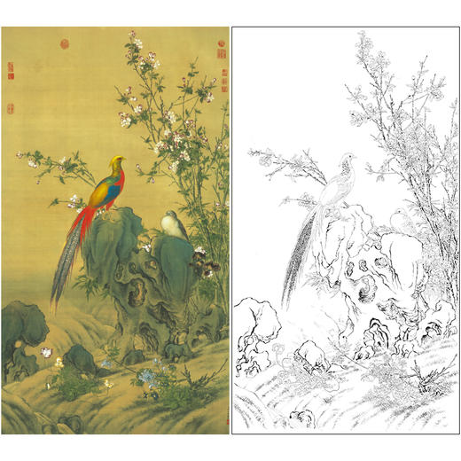 【大彩图】郎世宁工笔画白描底稿《锦春图》锦鸡临摹勾线高清打印稿LS02 商品图0