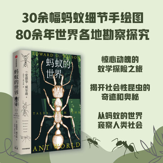 爱德华威尔逊作品 蚂蚁的世界 商品图1