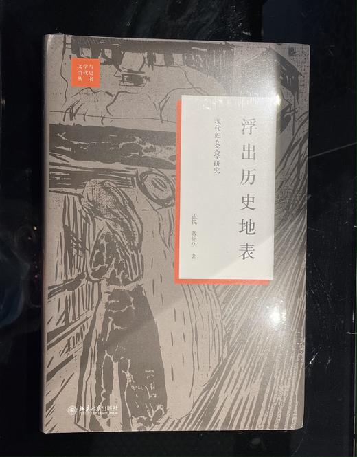 《浮出历史地表》 商品图0