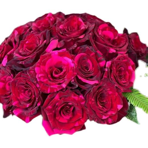 厄瓜多尔进口鲜花Red Phanter红色豹子玫瑰花 10支【】 商品图1