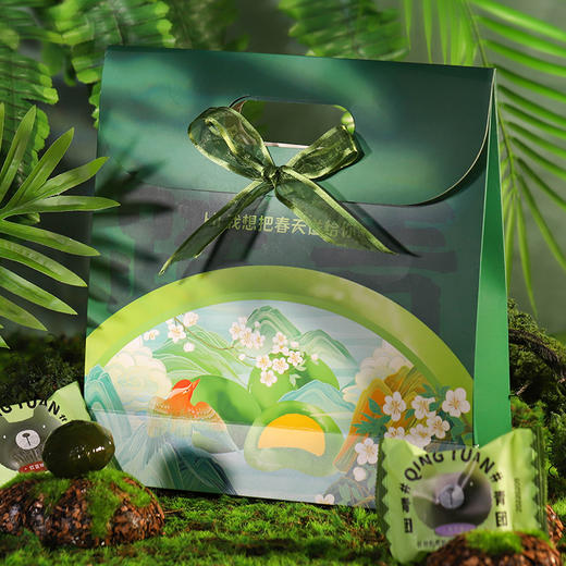 青团手提袋 商品图0