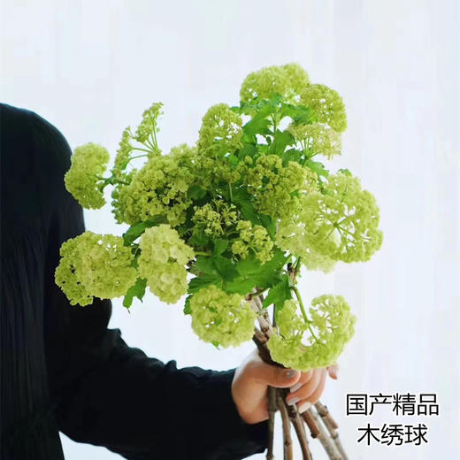 严选精品花材木绣球1扎 商品图7
