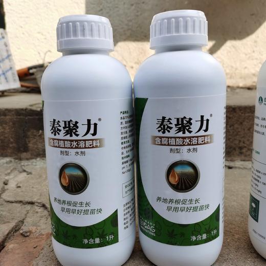 泰聚力欧洲进口海藻酸（国内分装） 商品图0