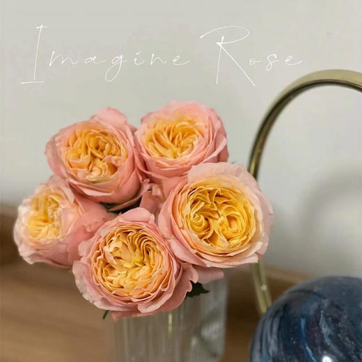 肯尼亚进口鲜花IMAGINE想象玫瑰花10支 商品图3