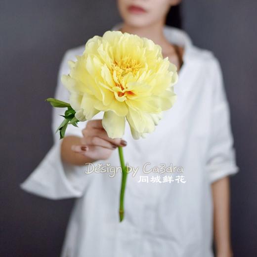 芭茨拉伊藤牡丹花黄色东方金5支 商品图4