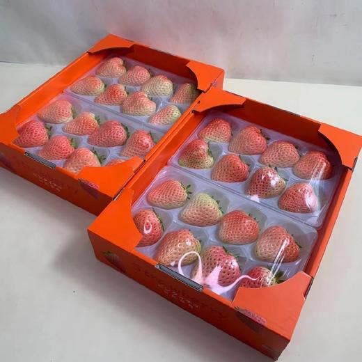 粉色草莓一箱16颗