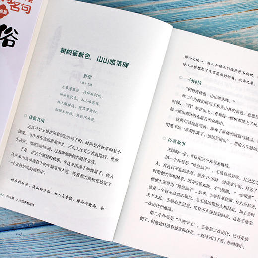 现货正版一口气读懂诗词名句全套6册 中国诗词大会全套正版唐诗宋词元曲古诗词鉴赏赏析古诗词书籍大全飞花令里读诗词大全集书 商品图1