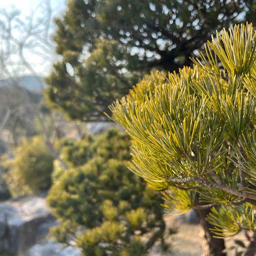 安安测试123寸撒v从vu刚才v个v炒股v去除v切勿v粗会变得粗v去偶遇v区域为v预测 商品图0