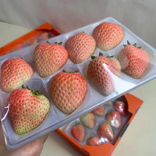粉色草莓一箱16颗
