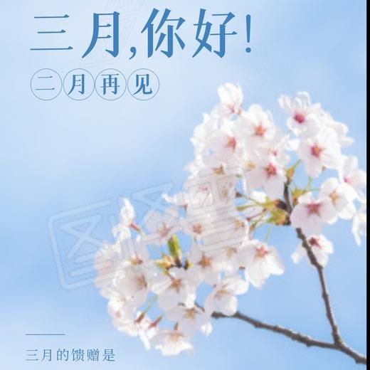 三月红石榴洗衣液礼包（单件） 商品图0