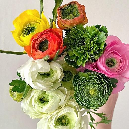 青蛙洋牡丹买十送十28冷链包邮枝长约40cm