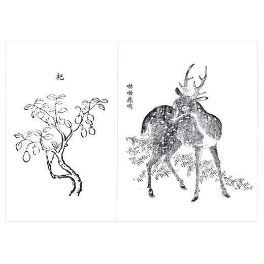 《诗经全译》 商品图4