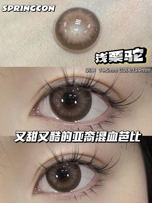 Springcon 浅栗驼 年抛 2片 14.5mm 参考着色13.9mm 基弧8.6 含水38% 韩国进口 商品图3
