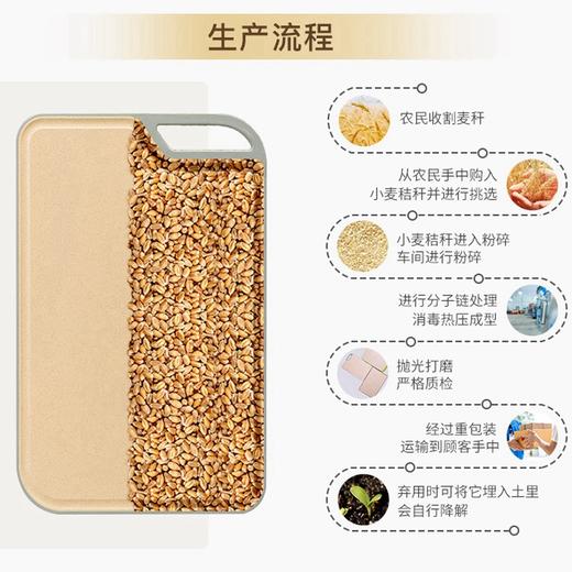 【自营】双枪（Suncha） 银离子小麦菜板 切菜板砧板水果案板辅食板 商品图3