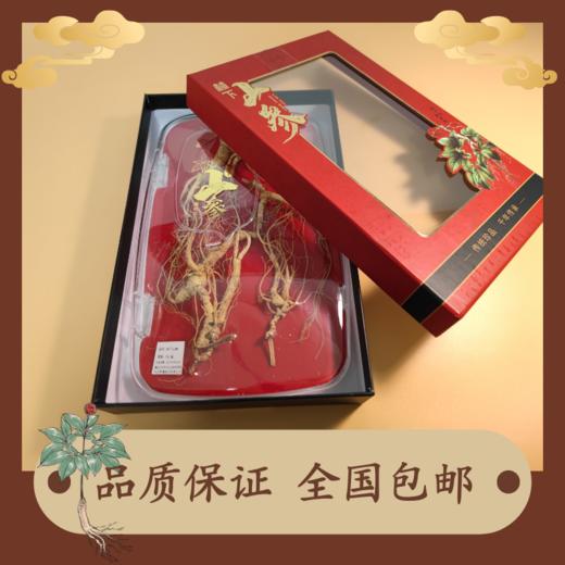 林下山参人参长白山礼盒送礼自用煲汤泡酒30克/50克/盒 商品图1