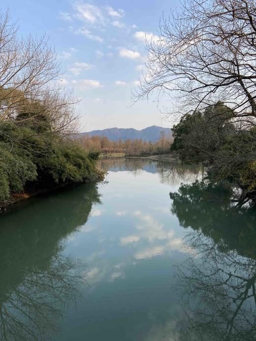 尚军测试购买权限-两个标签 商品图4