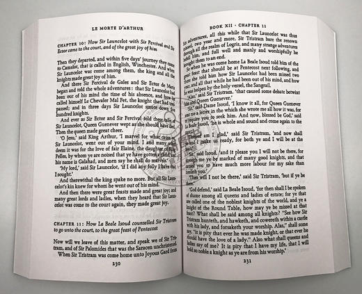 亚瑟王之死2 英文原版奇幻小说书 Le Morte dArthur Volume 2 亚瑟王与圆桌骑士传 Penguin Classics 电影原著英文版进口英语书籍 商品图1