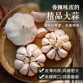 干蒜 农家紫皮大蒜  香辣爽口  调味佳品 腌制腊八蒜  网兜包装  250g