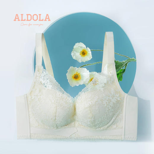 雅黛丽无钢圈内衣性感小胸聚拢文胸蕾丝舒适柔软透气调整型女胸罩 商品图4