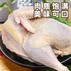 【周五发货】大川散养两年左右土母鸡（净重3.0～3.2斤左右） 商品缩略图2