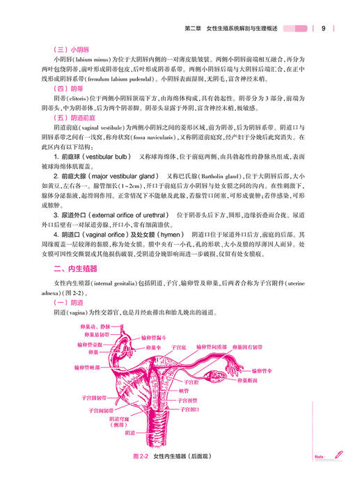 妇产科护理学 第7版 十四五规划教材全国高等学校教材 供本科护理学类专业用 安力彬 陆虹 人民卫生出版社9787117328128 商品图4