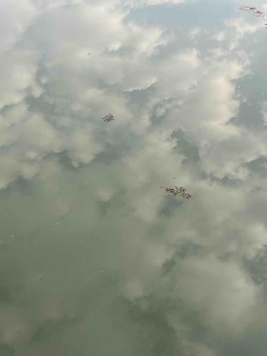 尚军测试购买权限-两个标签 商品图2