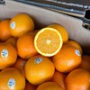 【高糖橙】美国进口 金腰带超甜脐橙，橙子非常嫩，水分足，甜度好，标准的细腻口感，推荐！ 商品缩略图2