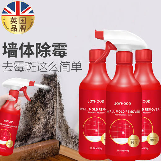 Joyhood家用清洁除霉剂墙体墙面霉菌霉斑霉点除霉喷雾剂 快速除霉 安全可靠 商品图2