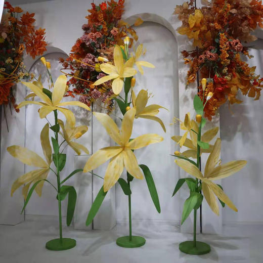 香妃（运费自理） 商品图3