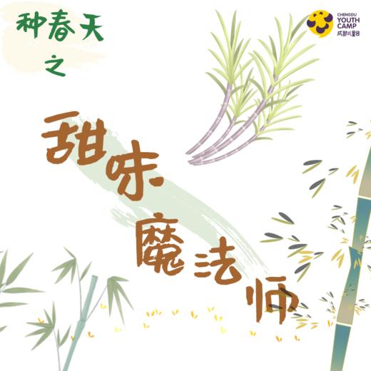 年级研学丨种春天·甜味魔法师·春季限定 商品图0