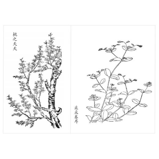 《诗经全译》 商品图6