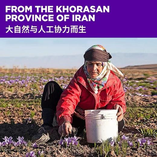 【已下架】因贝森 伊朗特级藏红花2盒装（赠雕花水杯*2+礼袋）[福利品]undefined 商品图2