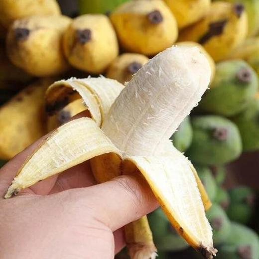 海南芭蕉 自然成熟 外表很丑 变黄变黑超甜  |百里食 商品图0