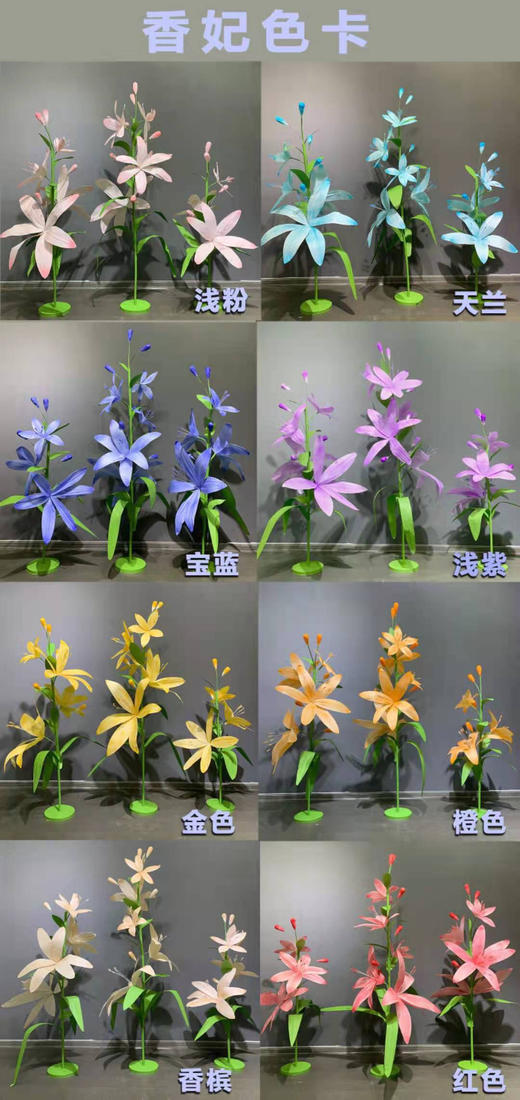 香妃（运费自理） 商品图4