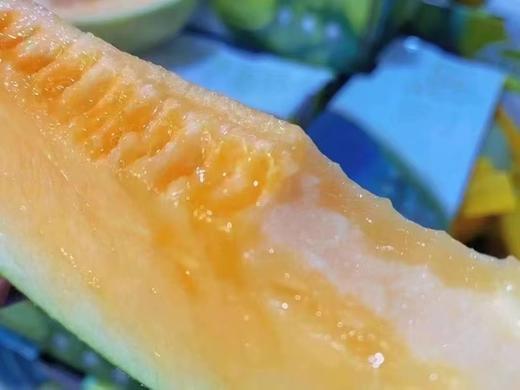 丝路晓蜜瓜单果13kg以上