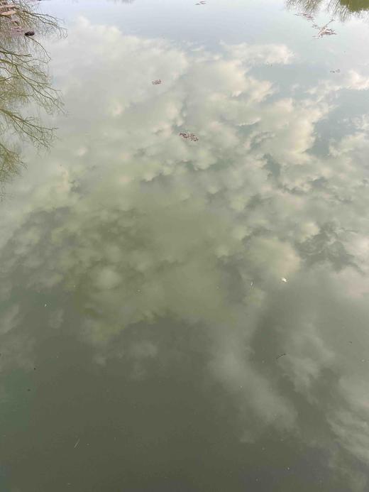 尚军测试购买权限-两个标签 商品图5