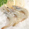中粮凌鲜 鲜冻白对虾1400g（30/40规格）壳薄肉多 清甜Q弹 商品缩略图3