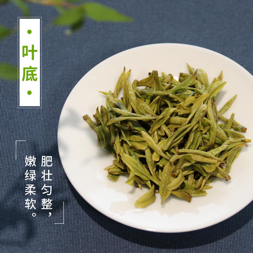  2026年新茶 汉合茶叶 明前龙井茶100克罐装 特级 正宗明前龙井 商品图4